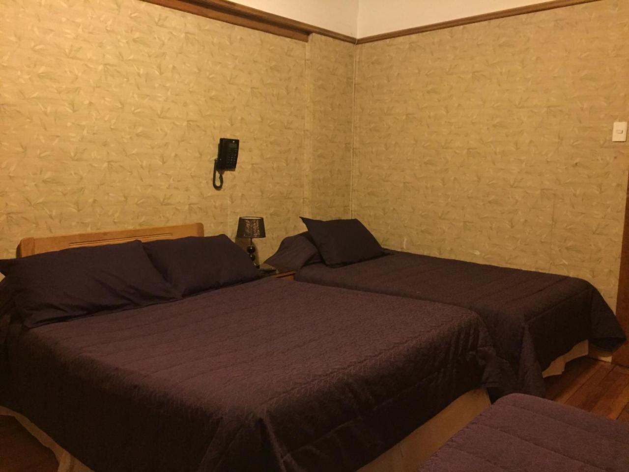Hostal Chalet Las Violetas Punta Arenas Ngoại thất bức ảnh